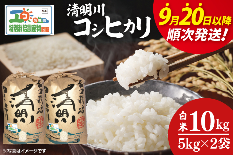 【令和7年9月20日以降順次発送】【先行予約】新米令和7年産茨城県特別栽培認証 清明川コシヒカリ白米5kg×2袋【米 おこめ こしひかり  特別栽培米 農家直送 直送 茨城県 阿見町】（04-02-1）