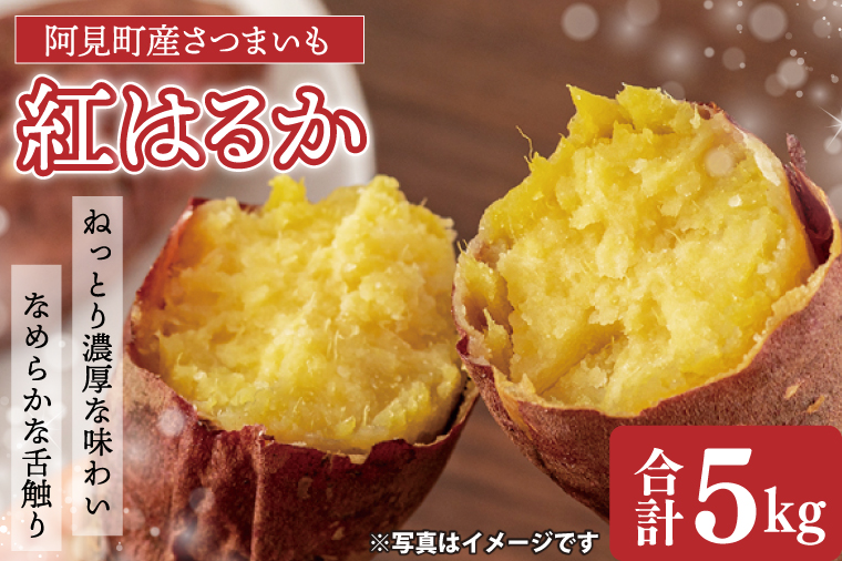 【先行予約 11月頃から順次発送】茨城県阿見町産 さつまいも 紅はるか 5kg×1【サツマイモ 生芋 べにはるか 茨城県 阿見町】(04-10)