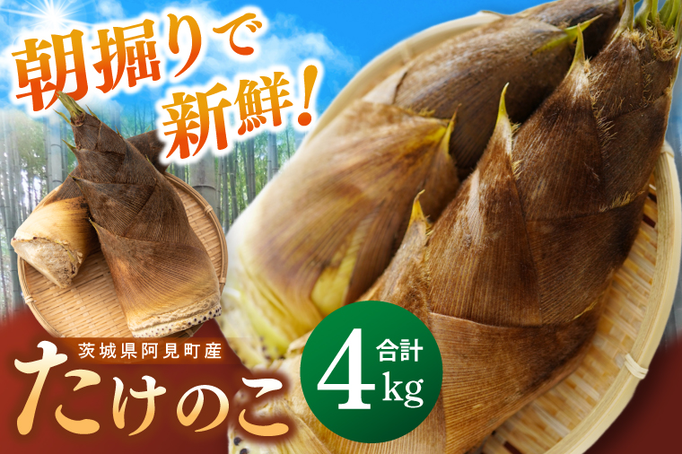 【先行予約】【2026年4月より発送開始】茨城県阿見町産 たけのこ4kg｜朝採れ 旬  春限定 数量限定 国産 タケノコ 筍 産地直送（25-01）