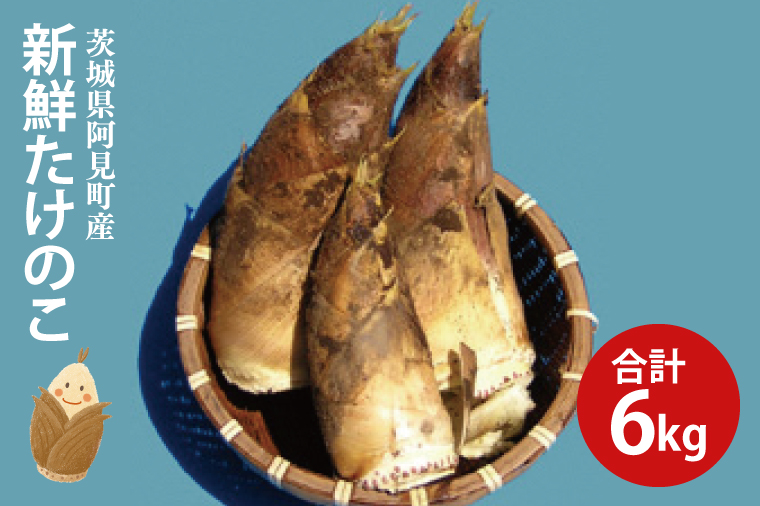【先行予約】【2026年4月初旬より発送開始】茨城県阿見町産 たけのこ6kg｜朝採れ 旬  春限定 数量限定 国産 タケノコ 筍 孟宗竹 無農薬 常温発送 産地直送（23-01）
