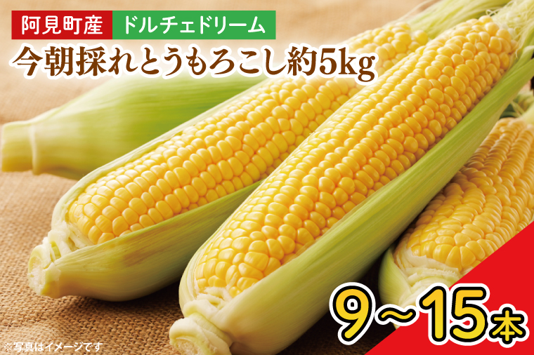 【先行予約】阿見町産 今朝採れとうもろこし約5kg（ドルチェドリーム・9本～15本）【茨城県 阿見町  国産 甘い 朝採り 野菜 コーン バイカラー 送料無料】（04-22）