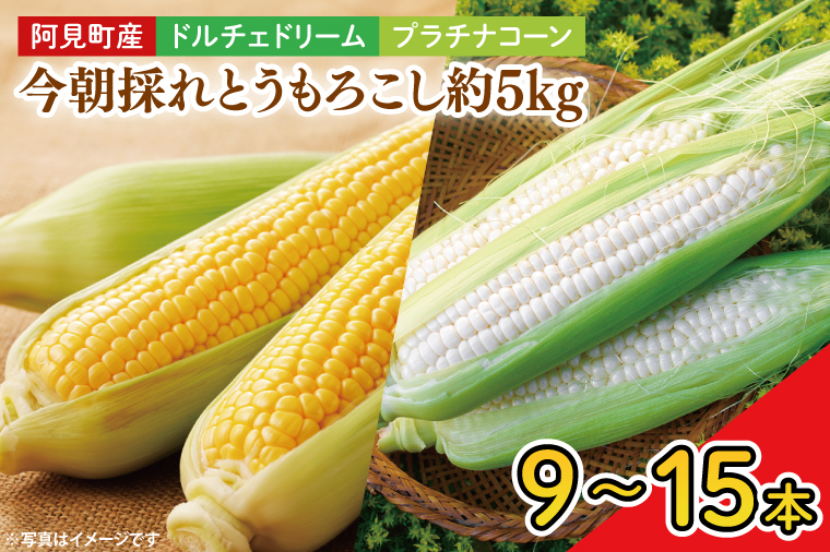 【先行予約】阿見町産 今朝採れとうもろこし約5kg（バイカラー ホワイト詰合せ・9本～15本）【茨城県 阿見町  国産 甘い 朝採り 野菜 ドルチェドリーム プラチナコーン 食べ比べ 送料無料】（04-24）