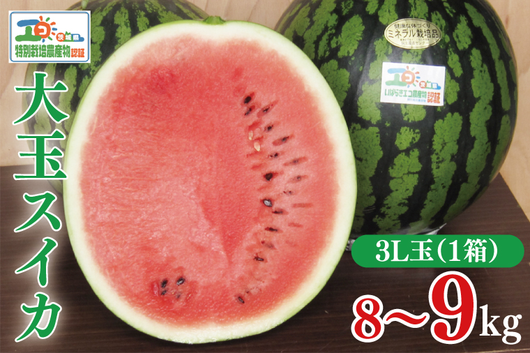 【先行予約】茨城県産大玉スイカ3Lサイズ（8～9kg）【茨城県 阿見町 スイカ 1玉 すいか 西瓜 果物 くだもの フルーツ 国産 甘い 送料無料】（04-25）