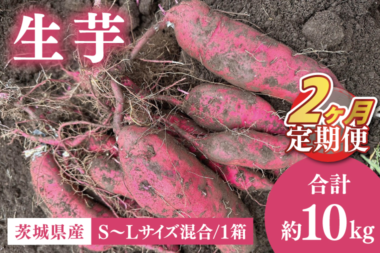 【先行予約2026年1月上旬から発送】【2ヶ月定期便】生芋10㎏ S~Lサイズ混合 1箱【芋 さつまいも サツマイモ  阿見町 茨城県】(56-15)