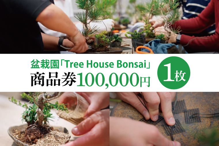 商品券【盆栽体験ワークショップ参加及び樹木、鉢等の関連商品購入に利用】【盆栽 ワークショップ 阿見町 茨城県】（64-01）