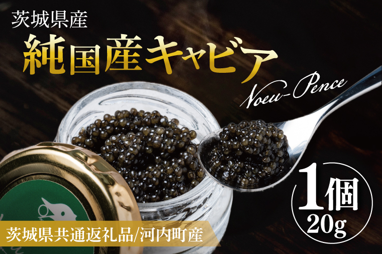 【先行予約】【12月上旬から中旬に発送】【茨城県共通返礼品/河内町】純国産キャビアVoeu-Pence 20ｇ×1個【数量限定 茨城県河内町】(78-01)