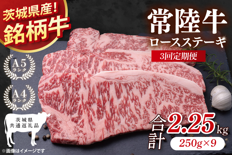 【茨城県共通返礼品】【3回定期便】常陸牛ロースステーキ 計2.25kg(250g×9)【銘柄牛 牛肉 冷凍 たんぱく質 ビタミン 茨城県産】(81-10)
