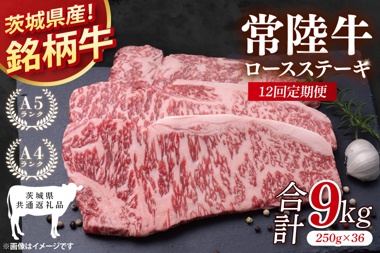 【茨城県共通返礼品】【12回定期便】常陸牛ロースステーキ 計9kg(250g×36)【銘柄牛 牛肉 冷凍 たんぱく質 ビタミン 茨城県産】(81-12)