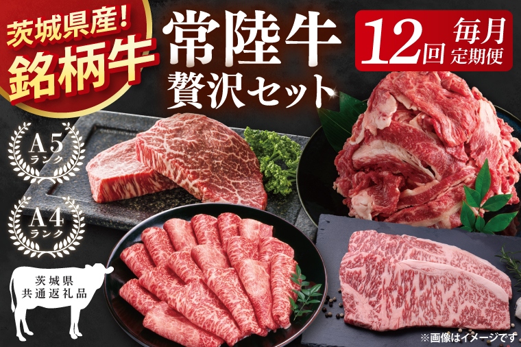 【茨城県共通返礼品】【12回定期便】最高級A4.5ランク常陸牛 贅沢セット【銘柄牛 牛肉 冷凍 たんぱく質 スライス ステーキ すき焼き しゃぶしゃぶ 切り落とし 茨城県産】(81-14)
