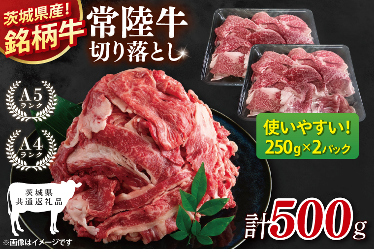 【茨城県共通返礼品】常陸牛切り落とし 500g【使いやすい 小分け 250g×2 銘柄牛 牛肉 冷凍 たんぱく質 ビタミン 茨城県産】(81-15)