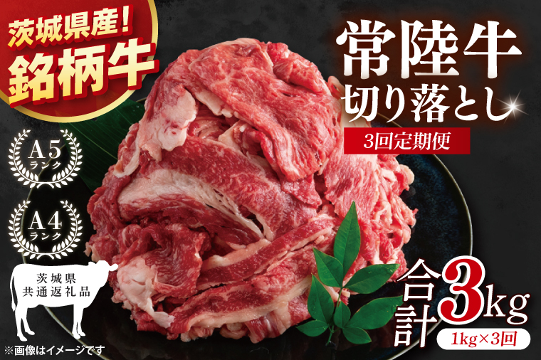 【茨城県共通返礼品】【3ヶ月定期便】常陸牛切り落とし 1kg（500g×2）【黒毛和牛 国産 銘柄牛 牛肉 肉 冷凍 茨城県産】(81-16)