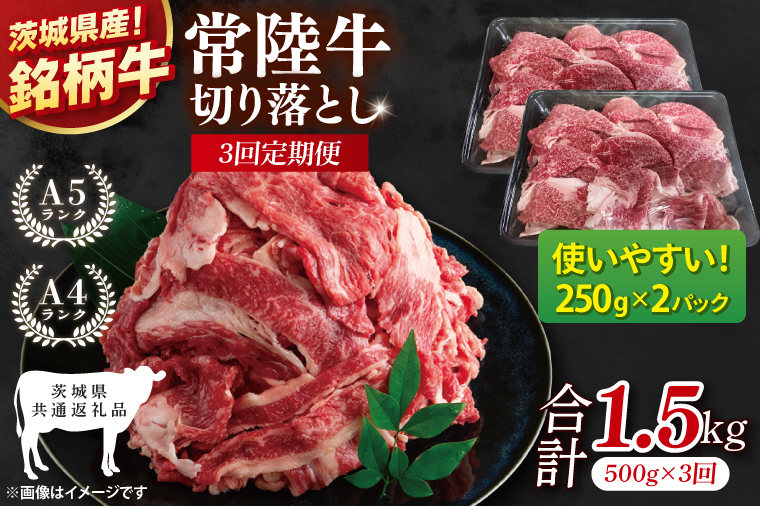 【茨城県共通返礼品】【3ヶ月定期便】常陸牛切り落とし 500g（250g×2）【黒毛和牛 国産 銘柄牛 牛肉 肉 冷凍 茨城県産】(81-19)