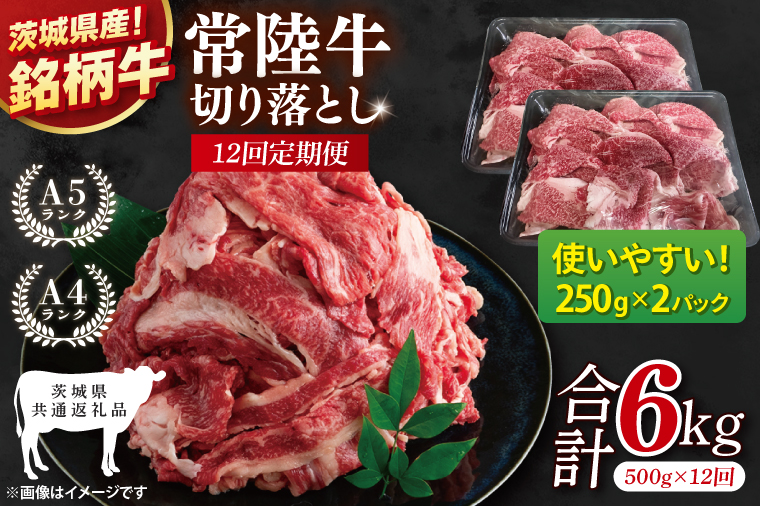 【茨城県共通返礼品】【12ヶ月定期便】常陸牛切り落とし 500g（250g×2）【黒毛和牛 国産 銘柄牛 牛肉 肉 冷凍 茨城県産】(81-21)