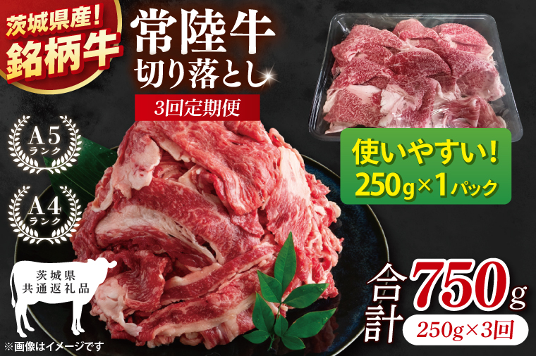 【茨城県共通返礼品】【3ヶ月定期便】お試しサイズ！常陸牛切り落とし 250g【黒毛和牛 国産 銘柄牛 牛肉 肉 冷凍 茨城県産】(81-23)