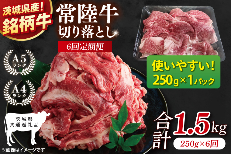 【茨城県共通返礼品】【6ヶ月定期便】お試しサイズ！常陸牛切り落とし 250g【黒毛和牛 国産 銘柄牛 牛肉 肉 冷凍 茨城県産】(81-24)