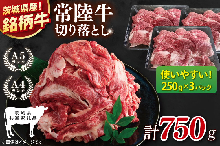 【茨城県共通返礼品】常陸牛切り落とし 750g（250g×3）【黒毛和牛 国産 銘柄牛 牛肉 肉 冷凍 茨城県産】(81-26)