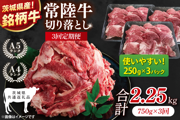 【茨城県共通返礼品】【3ヶ月定期便】常陸牛切り落とし 750g（250g×3）【黒毛和牛 国産 銘柄牛 牛肉 肉 冷凍 茨城県産】(81-27)