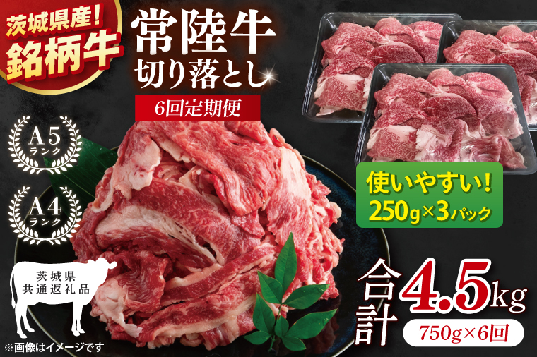 【茨城県共通返礼品】【6ヶ月定期便】常陸牛切り落とし 750g（250g×3）【黒毛和牛 国産 銘柄牛 牛肉 肉 冷凍 茨城県産】(81-28)