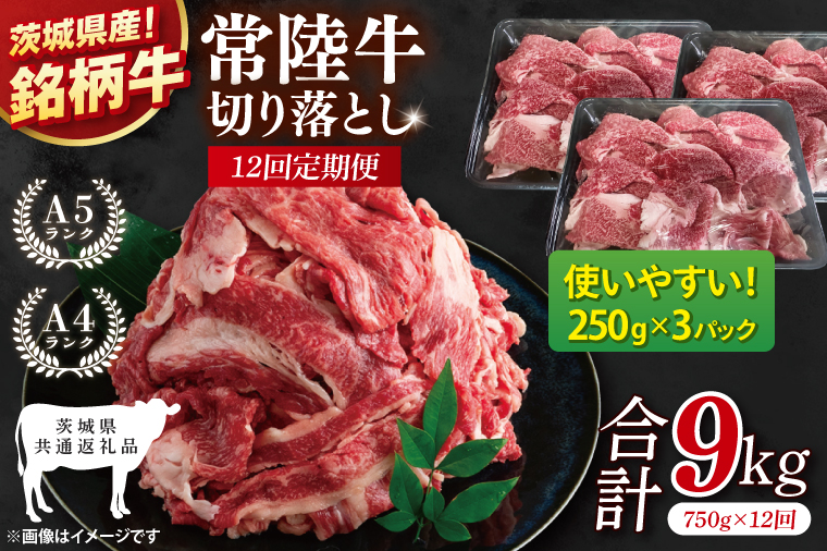 【茨城県共通返礼品】【12ヶ月定期便】常陸牛切り落とし 750g（250g×3）【黒毛和牛 国産 銘柄牛 牛肉 肉 冷凍 茨城県産】(81-29)
