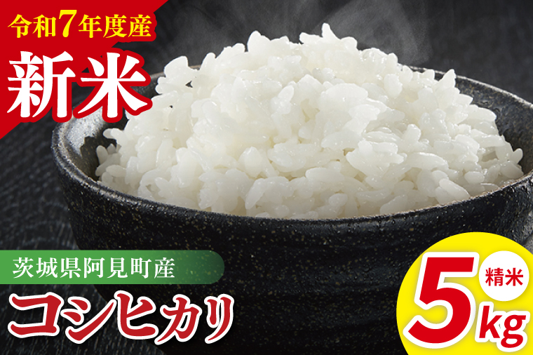 令和7年産 阿見町産コシヒカリ　精米　5kg｜ お米 米 ごはん 阿見町 茨城県 茨城県産 茨城県産米（85-02）