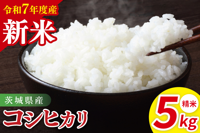令和7年産 茨城県産コシヒカリ　精米　5kg｜ お米 米 ごはん 阿見町 茨城県 茨城県産 茨城県産米（85-11）