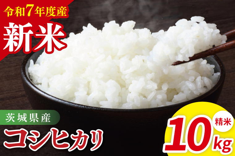 令和7年産 茨城県産コシヒカリ　精米　10kg（5kg×2）｜ お米 米 ごはん 阿見町 茨城県 茨城県産 茨城県産米（85-12）