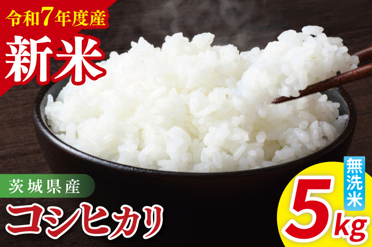 令和7年産 茨城県産コシヒカリ　無洗米　5kg｜ お米 米 ごはん 阿見町 茨城県 茨城県産 茨城県産米（85-14）