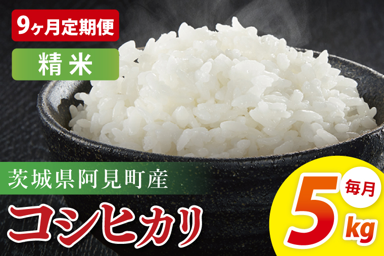 【9ヶ月定期便】阿見町産コシヒカリ　精米　5kg｜精米 定期便 お米 米 こめ コメ ごはん 白米 阿見町 茨城県 茨城県産 茨城県産米 安心 安全 送料無料 国産 人気 数量限定 高評価（85-94）