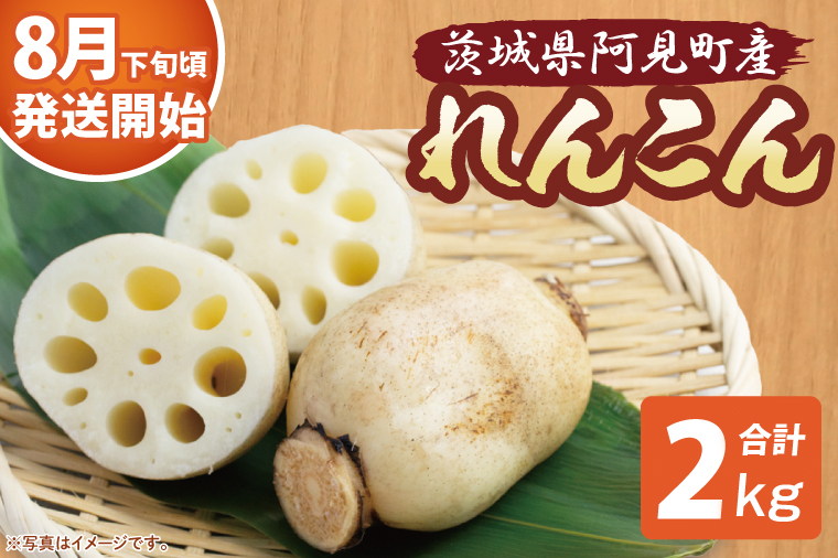 【期間限定】れんこん2kg【絶品 蓮根 レンコン 高級感 茨城県産 茨城県 阿見町】(89-01)