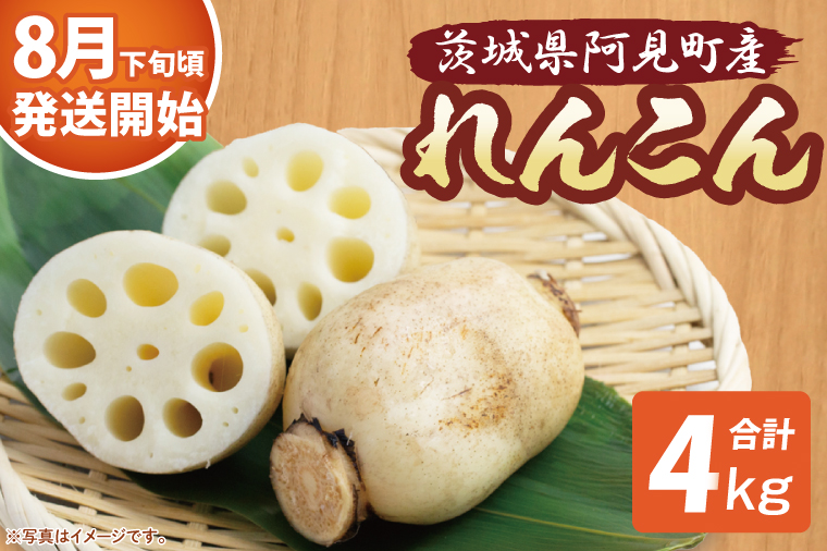 【期間限定】れんこん4kg【絶品 蓮根 レンコン 高級感 茨城県産 茨城県 阿見町】(89-02)