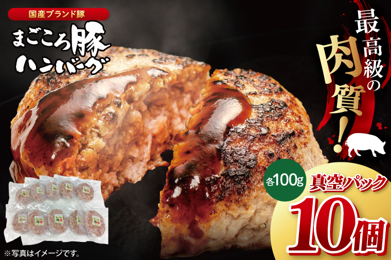 【茨城県共通返礼品】国産まごころ豚ハンバーグ100g×10個【高品質 豚肉 銘柄豚 ブランド豚 人気豚肉 個包装 冷凍 茨城県産 阿見町】(92-01)