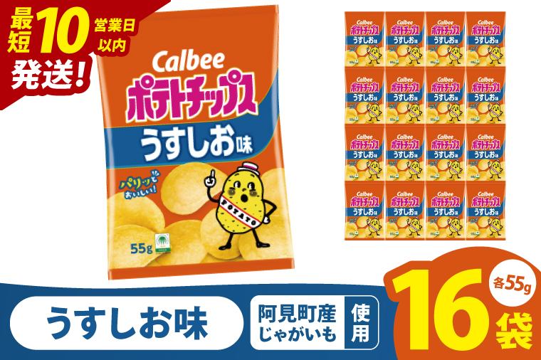 【10営業日以内に出荷】カルビー ポテトチップスうすしお味（55g） 16個｜Calbee お菓子 菓子 おやつ おかし ぽてち ポテチ スナック おつまみ ジャガイモ じゃがいも（93-01）