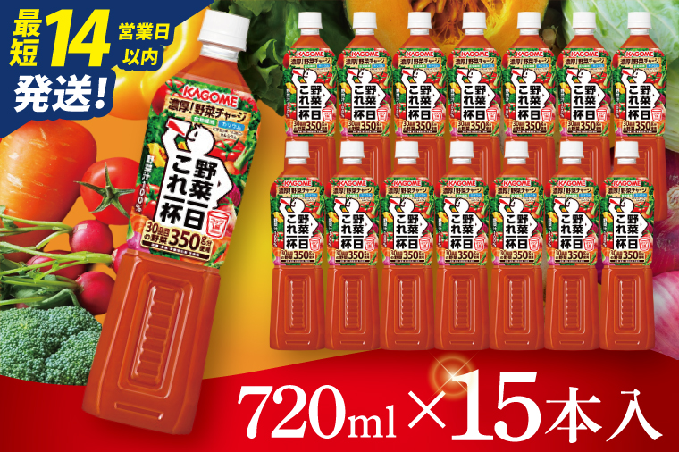 カゴメ野菜一日これ一杯 720ml×15本｜KAGOME 野菜 果実 おいしい 手軽 ジュース 飲料 野菜ジュース（93-214）