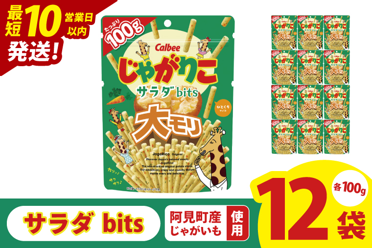 【10営業日以内に出荷】カルビー じゃがりこサラダ bits 大モリ（100g）×12個｜Calbee お菓子 菓子 おやつ おかし ぽてち ポテチ スナック おつまみ ジャガイモ じゃがいも（93-52）
