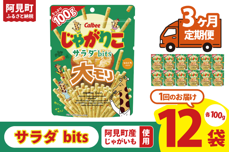 【3ヶ月定期便】カルビー じゃがりこサラダ bits 大モリ（100g）×12個｜Calbee お菓子 菓子 おやつ おかし ぽてち ポテチ スナック おつまみ ジャガイモ じゃがいも（93-53）