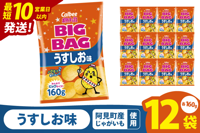 【10営業日以内に出荷】カルビー ポテトチップス うすしお味 BIGBAG（160g）×12個｜Calbee お菓子 菓子 おやつ おかし ぽてち ポテチ スナック おつまみ ジャガイモ じゃがいも（93-55）