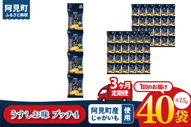 【3ヶ月定期便】カルビー 堅あげポテト うすしお味 プッチ4 60g(15g×4袋)×10個入り｜Calbee お菓子 菓子 おやつ おかし ぽてち ポテチ スナック おつまみ ジャガイモ じゃがいも 小分け 個包装（93-65）