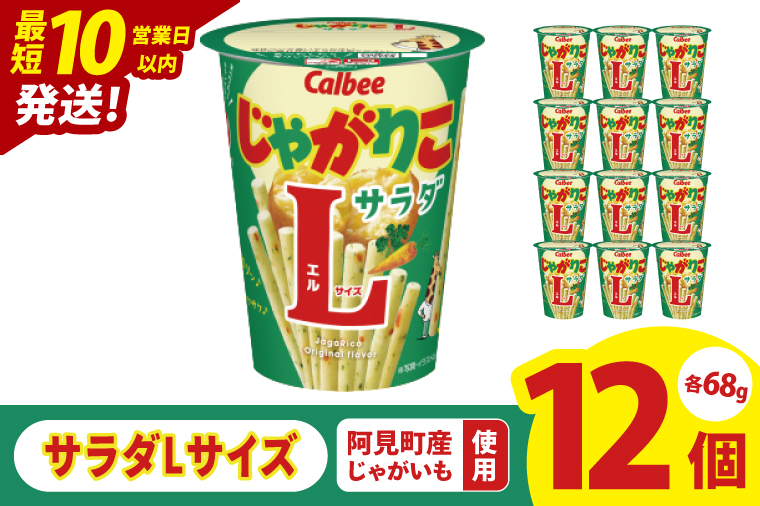 【10営業日以内に出荷】カルビー じゃがりこ サラダ Lサイズ 68g×12個｜Calbee お菓子 菓子 おやつ おかし ぽてち ポテチ スナック おつまみ ジャガイモ じゃがいも（93-79）
