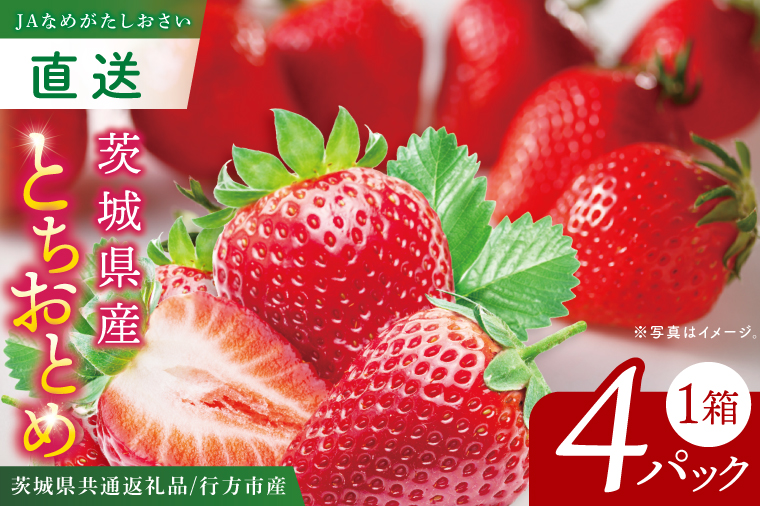 【先行予約12月下旬から発送】【茨城県共通返礼品/行方市産】JAなめがたしおさい直送「とちおとめ」1箱 (4パック入)【大粒 酸味 甘い 減農薬栽培 茨城県行方市】(96-01)