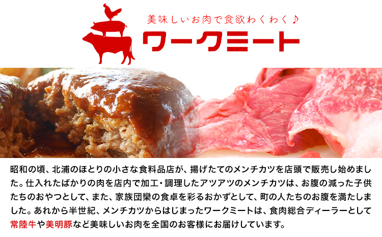 常陸牛 肉みそ 150g×5袋 (茨城県共通返礼品：茨城県産) ワークミート《30日以内に出荷予定(土日祝除く)》茨城県 河内町 常陸牛 美明豚 和牛 牛 牛肉 豚 豚肉 肉 肉みそ おかず 味噌---kawachhi_wm_7_750g---