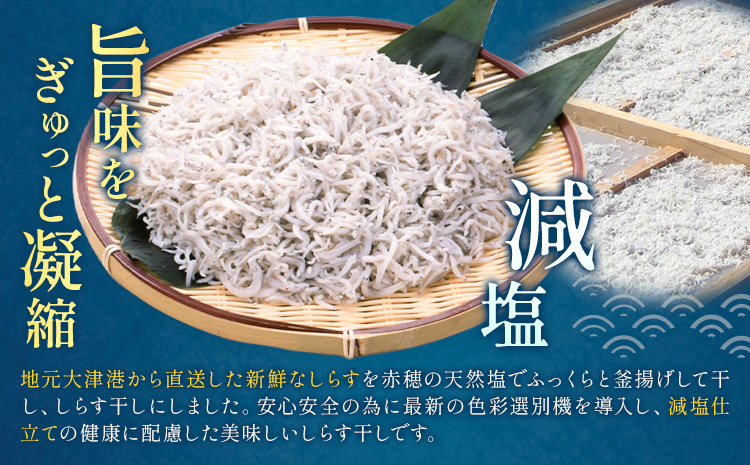 しらす干し 小分け 大津港水揚げ しらす 500g (茨城県共通返礼品：北茨城市) 川崎水産有限会社 《30日以内に出荷予定(土日祝除く)》しらす干 小分けパック 減塩 茨城県 河内町【配送不可地域あり】（沖縄・離島）---kawachhi_kwsi_5_500g---