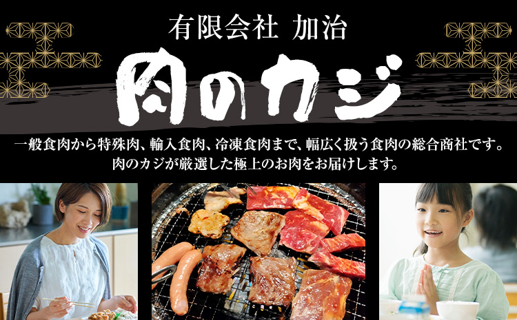 常陸牛 黒毛和牛 牛肉 サーロインステーキ 400g (茨城県共通返礼品：茨城県産) 有限会社加治 肉のカジ《30日以内に出荷予定(土日祝除く) 》茨城県 河内町 お肉 肉 牛肉 和牛 牛肉 サーロイン ステーキ 国産 国産牛 茨城県産【配送不可地域あり】（沖縄・離島）---kawachhi_kgi_1_400g---