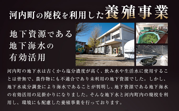 魚 味付き魚 とらふぐ 唐揚げ用 200g 1袋 《30日以内に出荷予定(土日祝除く)》キャビアフィッシュカンパニー 惣菜 味付き 簡単調理 茨城県 河内町---kawachhi_kfc_4_1i---