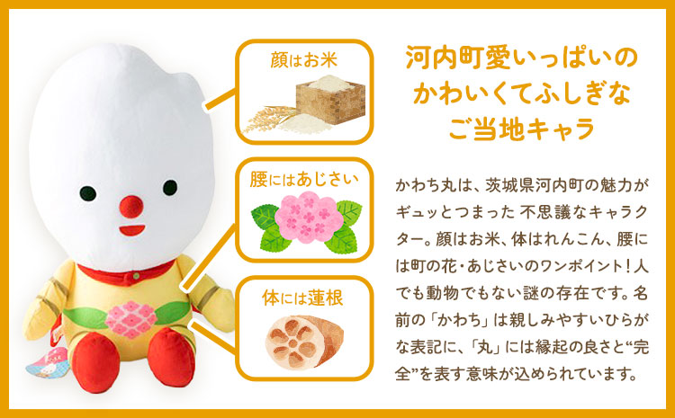 河内町 イメージキャラクター かわち丸 ぬいぐるみ 大1個 まちづくり河内株式会社かわち夢楽《30日以内に出荷予定(土日祝除く)》 茨城県 河内町 ぬいぐるみ かわち丸---kawachhi_mura_14_1p---