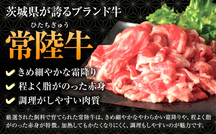 常陸牛 切り落とし 500g × 2パック 1kg (茨城県共通返礼品：茨城県産) ワークミート《30日以内に出荷予定(土日祝除く)》茨城県 河内町 常陸牛 和牛 切り落とし 焼肉 牛丼 肉じゃが 牛肉 牛 1000g---kawachhi_wm_1_1kg---