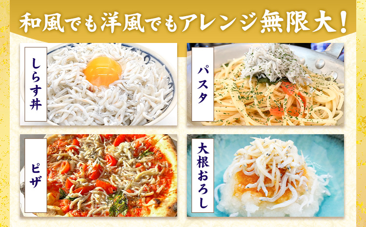 釜揚げしらす 大津港水揚げ しらす 1kg (茨城県共通返礼品：北茨城市) 川崎水産有限会社 《30日以内に出荷予定(土日祝除く)》釜揚げ 減塩 茨城県 河内町 【配送不可地域あり】（沖縄・離島）---kawachhi_kwsi_3_1kg---