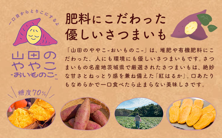 干し芋 山田のややこ おいものこ ほしいもセット 900g  《30日以内に出荷予定(土日祝除く)》株式会社ゆうゆう農園 スイーツ おやつ 芋 さつまいも 和菓子 お菓子 茨城県 河内町【配送不可地域あり】（沖縄・離島）---kawachhi_yyn_3_900g---