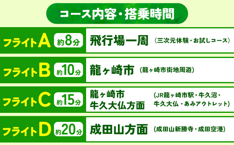 セスナ機遊覧飛行体験 3名 フライトF・G（約30分コース） 新中央航空株式会社《30日以内に出荷予定(土日祝除く)》茨城県 河内町 セスナ 飛行体験---kawachhi_skk_17_30min---