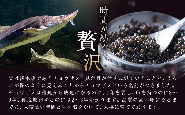 キャビア 純国産キャビア Voeu-Pense 1個 《12月中旬頃より出荷》キャビアフィッシュカンパニー 高級 チョウザメ クラッカー バゲット パスタ 茨城県 河内町---kawachhi_kfc_1_1i---