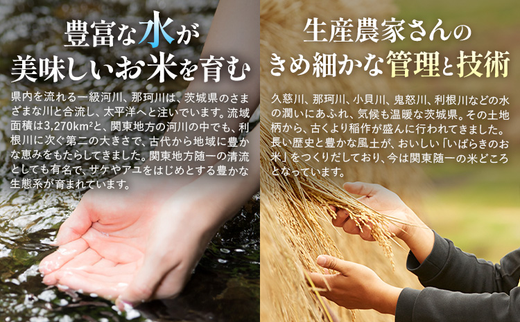 【3か月定期便】米 茨城 ふるさと米 無洗米 20kg《お申し込み月の翌月から出荷開始》茨城県 河内町 米 国産 お米 おこめ お弁当 おにぎり---kawachhi_lcl_24_20kgtei---